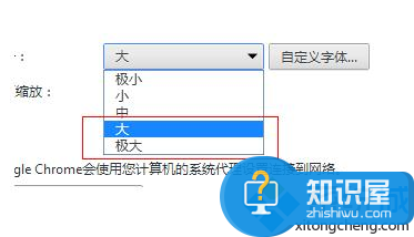 电脑中如何设置谷歌Chrome浏览器显示的字体大小4