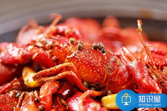 麻辣小龙虾是哪里的菜 麻辣小龙虾的做法及配方