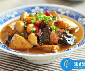 鲶鱼的营养价值 鲶鱼炖豆腐是什么地方的菜