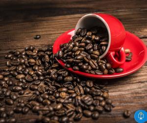 咖啡豆怎么吃最好 咖啡豆直接吃有害吗