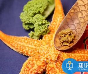 干海星怎么吃健康养生 海星的食用方法及功效