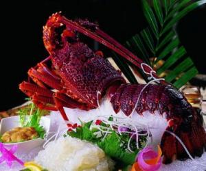 澳洲龙虾的营养价值 澳洲龙虾的做法大全