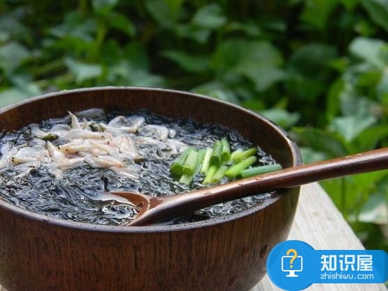 虾皮紫菜汤的做法大全 紫菜的营养价值
