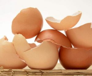 鸡蛋壳能治胃病怎么用 鸡蛋壳治疗哪种胃病