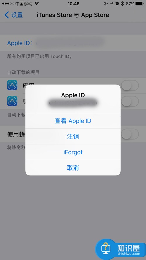 App Store如何绑定支付宝用支付宝购买应用 苹果AppStore怎么使用支付宝充值和付款