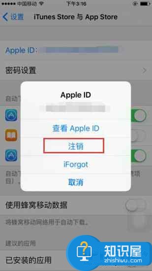 iPhone断网闪退下载不了应用解决教程 如何在iphone断网时继续下载软件