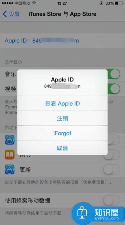 苹果手机的App Store打不开怎么办 为什么iPhone一直提示无法连接AppStore