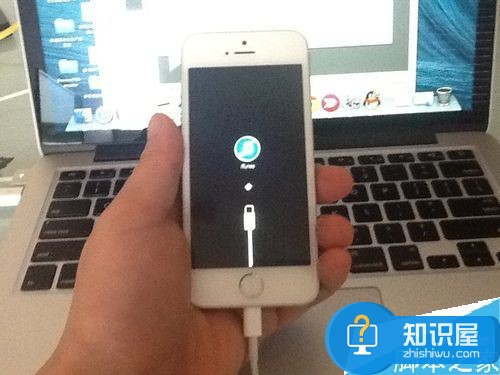 iPhone序列号不适用怎么办？