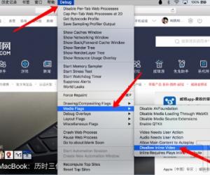 MacBook怎么禁止Safari自动播放视频 Mac设备如何设置禁止Safari自动播放