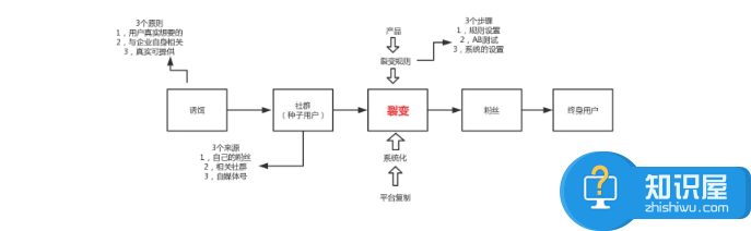 微信公众号如何裂变快速增加粉丝 微信公众号裂变涨粉实战方案教程