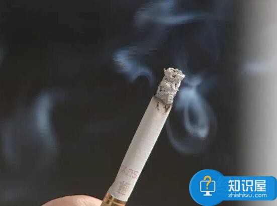 抽烟吃什么清肺排毒效果最好 长期吸烟吃什么可以清肺介绍