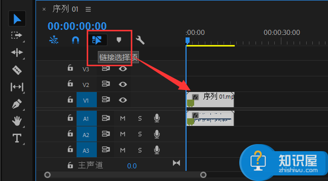 Premiere操作教学：删除视频声音、确保图像不受影响