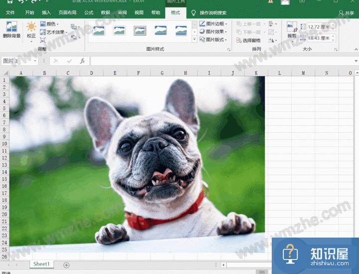 Office软件抠图方法整理，又快又方便，适合懒人