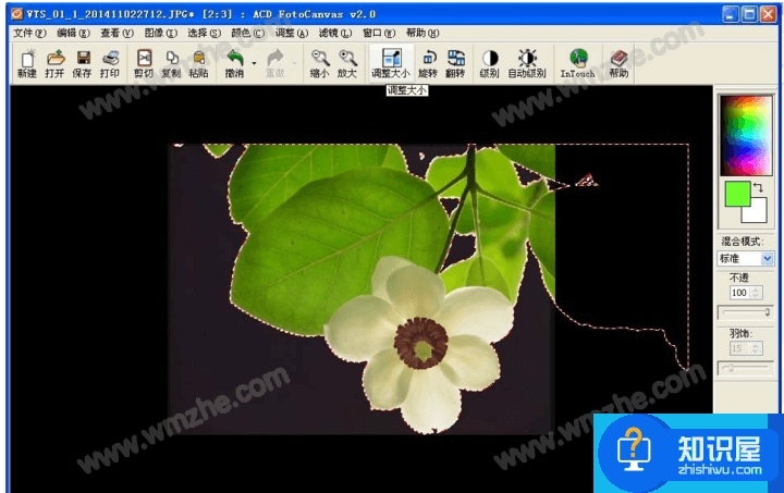 ACDSee魔棒抠图方法分享，效果堪比Photoshop