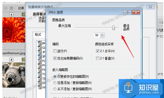 ACDSee使用教学：批量压缩图片，分分钟完事