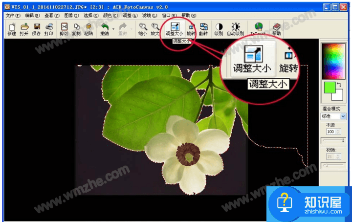 ACDSee魔棒抠图方法分享，效果堪比Photoshop