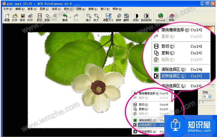 ACDSee魔棒抠图方法分享，效果堪比Photoshop