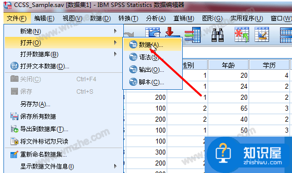 启用SPSS信度分析功能，分析调查数据可信度