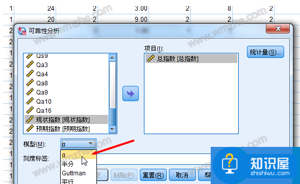 启用SPSS信度分析功能，分析调查数据可信度