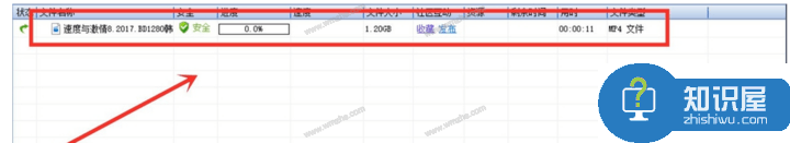 迅雷5使用说明：解决版权限制，顺利下载资源