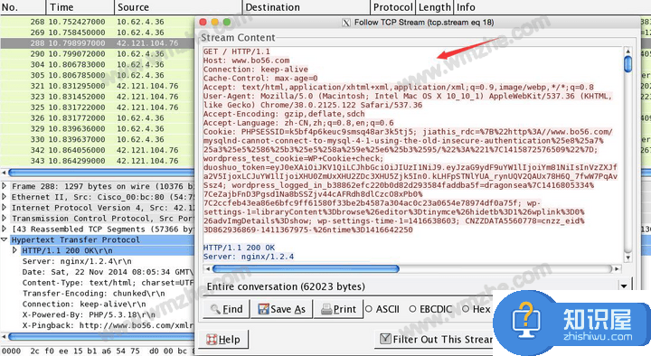 Wireshark抓包软件有何作用？一文带你深入了解