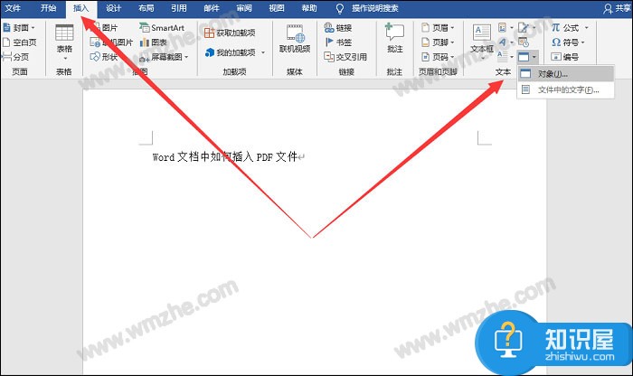 如何在Word和Excel中插入PDF文件？方法很简单