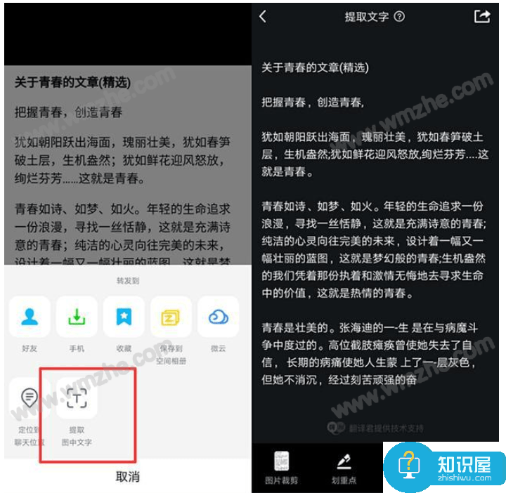 学会这些方法，你可以随意复制网页文字