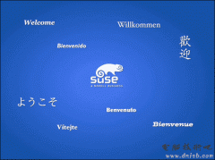 Suse Linux 10的启动过程