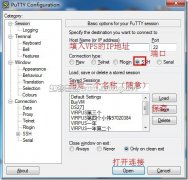 VPS使用教程-SSH连接(putty)