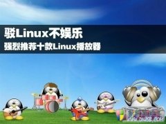 驳Linux不娱乐 堪比Win平台中十款播放器