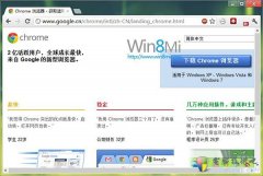 谷歌浏览器 Chrome 21 正式版