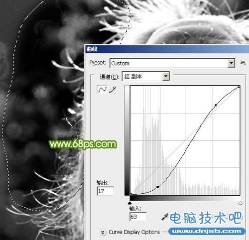 PS教程：PS通道精确抠出背景中人物发丝