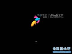 Windows8.1预览版全新Betta鱼开机视频
