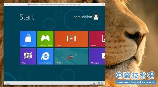 Mac虚拟机软件Parallels桌面支持Win8.1