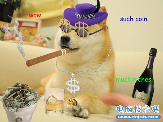 “Doge meme”已成为2013年美国互联网的一个文化符号