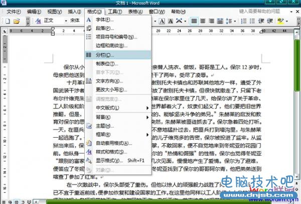 Word2003文档中怎么分栏