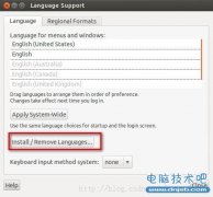 Ubuntu怎么安装中文输入法?Ubuntu安装中文输入法教程