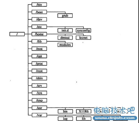 linux目录树