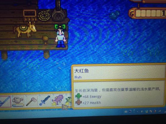 星露谷物语stardew valley鱼王怎么钓 五大传奇鱼王位置与攻略