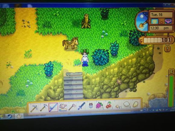 星露谷物语stardew valley鱼王怎么钓 五大传奇鱼王位置与攻略