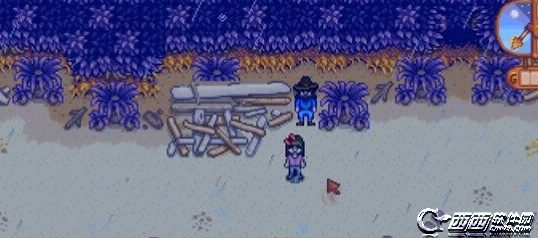 星露谷物语Stardew Valley怎么结婚 结婚方法流程及注意事项