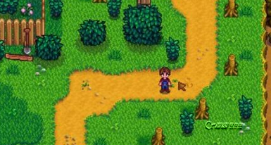 像素谷Stardew Valley怎么自动灌溉农田 自动灌溉农田的方法