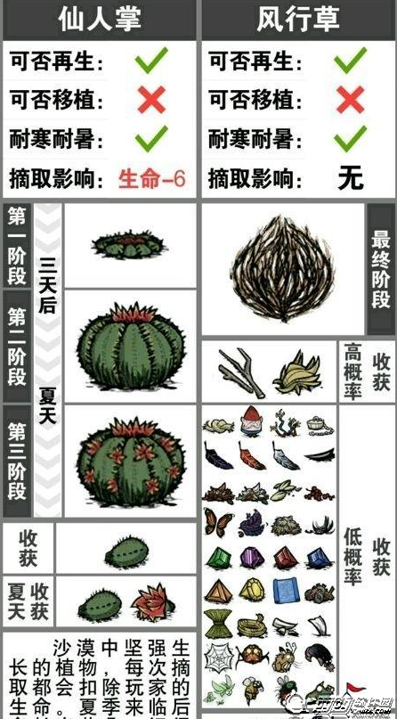 饥荒仙人掌花怎么得 仙人掌花作用一览