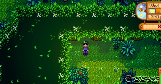 星露谷物语stardew valley win10停止游戏英文输入无效解决办法