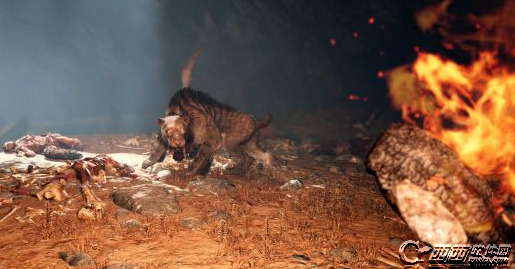 孤岛惊魂:原始杀戮稀有毛皮怎么获得 稀有动物的毛皮获得方法