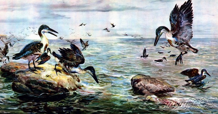 方舟:生存进化鱼鸟怎么样 鱼鸟驯化属性解析