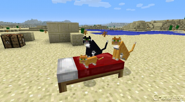 minecraft豹猫会主动攻击生物吗 位置在哪